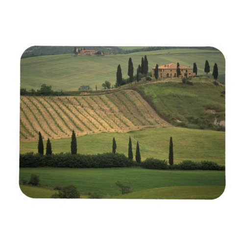 Europe Italy Tuscany Val d Orcia Tuscan Magnet