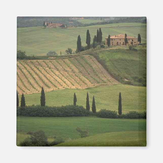 Europe, Italy, Tuscany, Val d' Orcia, Tuscan Magnet (Front)