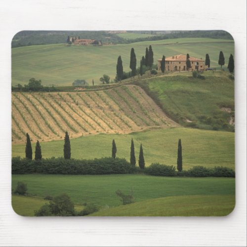 Europe Italy Tuscany Val d Orcia Tuscan Mouse Pad