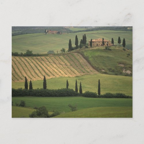 Europe Italy Tuscany Val d Orcia Tuscan Postcard