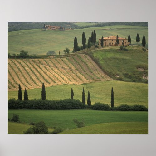 Europe Italy Tuscany Val d Orcia Tuscan Poster