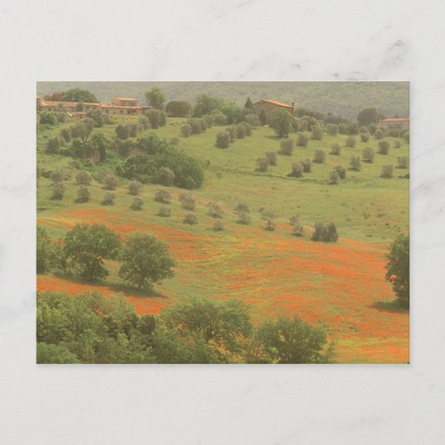 Europe, Italy, Tuscany, Val D'Orcia, Monte Postcard (Front)