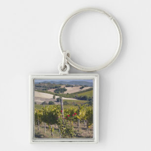 Europe, Italy, Umbria, near Montefalco, Vineyard Keychain