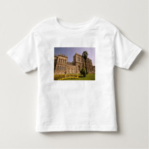 Europe, Middle East, Istanbul. The Bosphorus, Toddler T-shirt