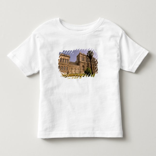 Europe, Middle East, Istanbul. The Bosphorus, Toddler T-shirt (Front)