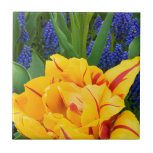 Europe, Netherlands, Lisse. Tulips Ceramic Tile