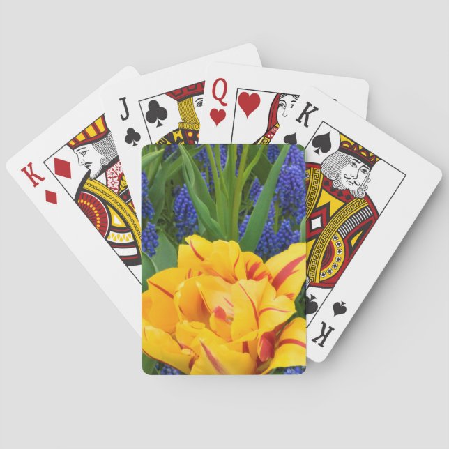 Europe, Netherlands, Lisse. Tulips Poker Cards (Back)