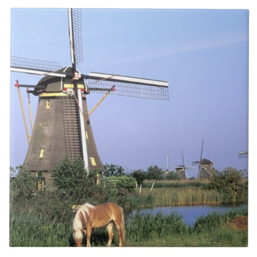 Europe Netherlands Zuid Holland Kinderdijk 2 Ceramic Tile