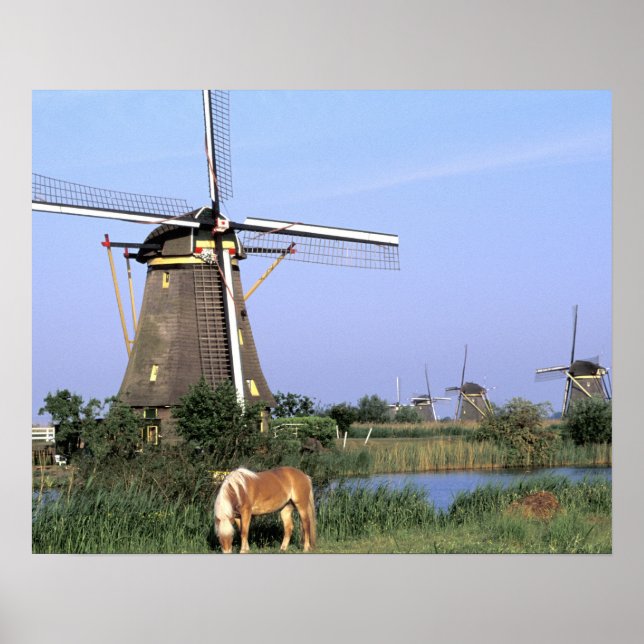 Europe, Netherlands, Zuid Holland, Kinderdijk. 2 Poster (Front)