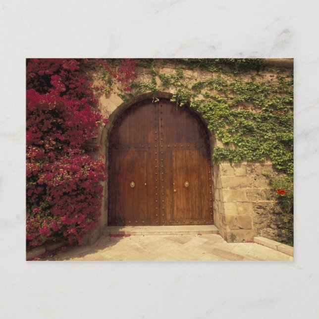 Europe, Spain, Balearics, Mallorca, Palma de Postcard (Front)