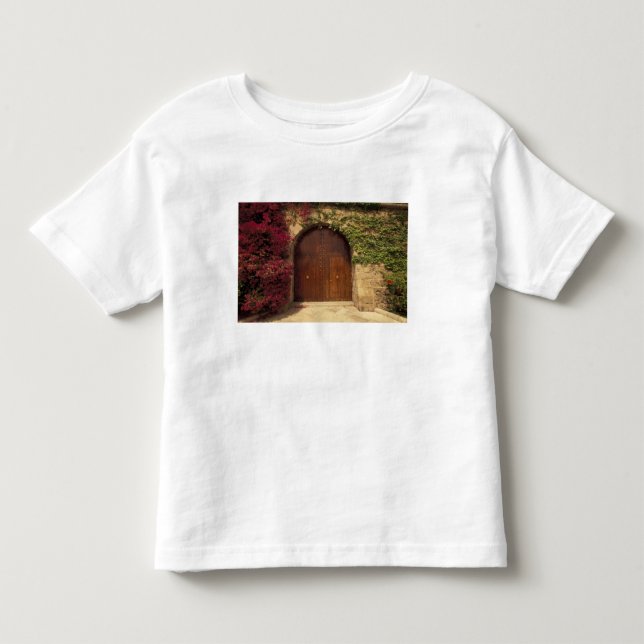 Europe, Spain, Balearics, Mallorca, Palma de Toddler T-shirt (Front)