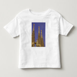 Europe, Spain, Barcelona Sagrada Familia Toddler T-shirt