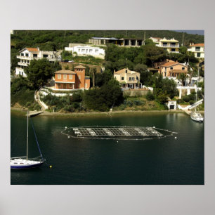 Europe, Spain, Minorca (aka Menorca). Fish Poster