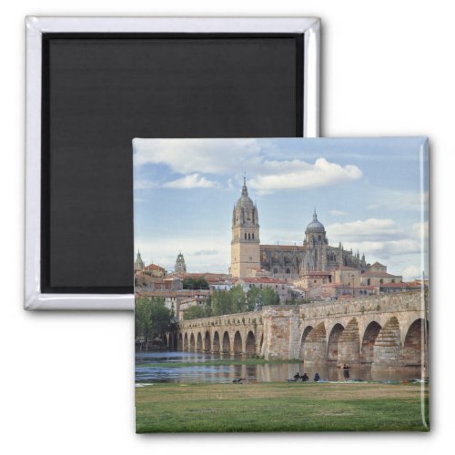 Europe Spain Salamanca The Roman bridge over Magnet