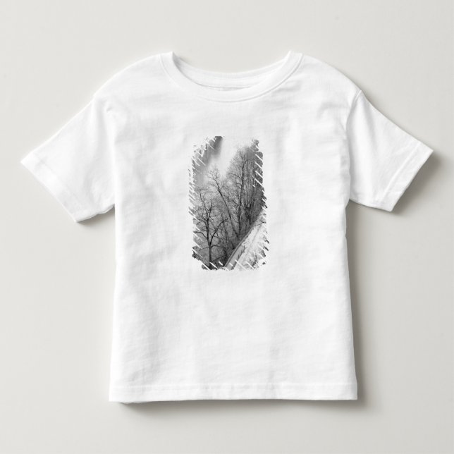 Europe, Switzerland, Bern. Overview of the Aare Toddler T-shirt (Front)
