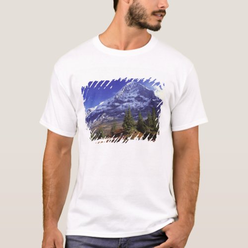 Europe Switzerland Eiger Fall colors abound T_Shirt