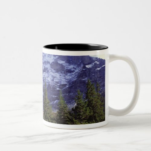 Europe Switzerland Eiger Fall colors abound Two_Tone Coffee Mug