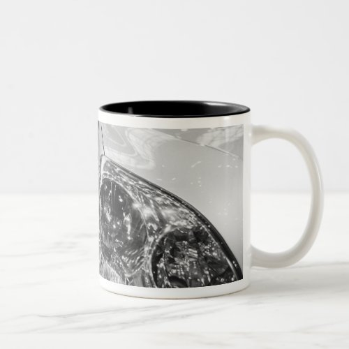 Europe Switzerland Geneva Geneva Motor Show 2 Two_Tone Coffee Mug