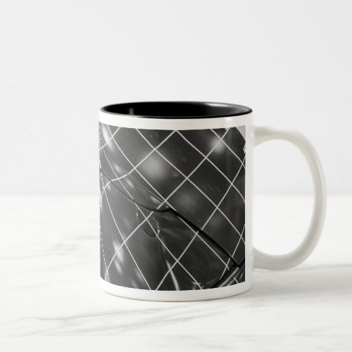 Europe Switzerland Geneva Geneva Motor Show 3 Two_Tone Coffee Mug