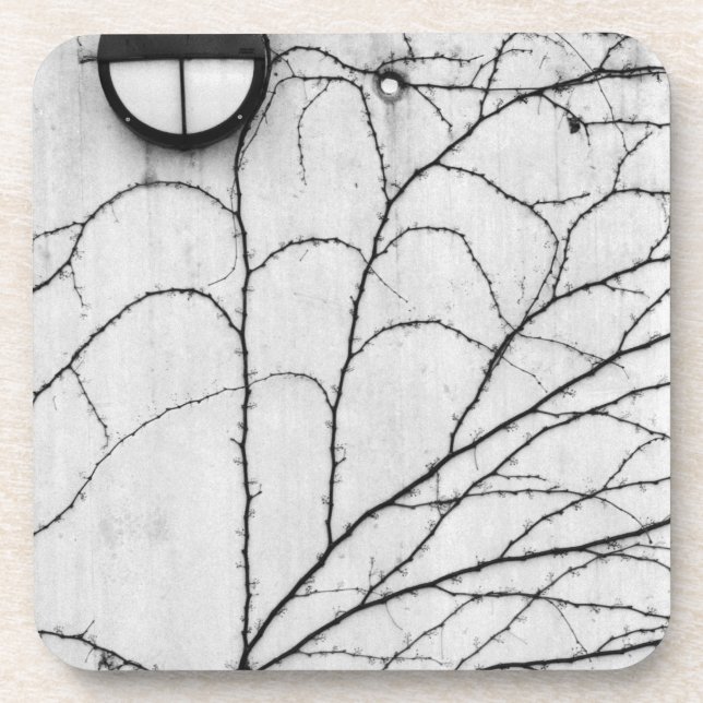 Europe, Switzerland, Lucerne. Ivy pattern on Drink Coaster (Front)