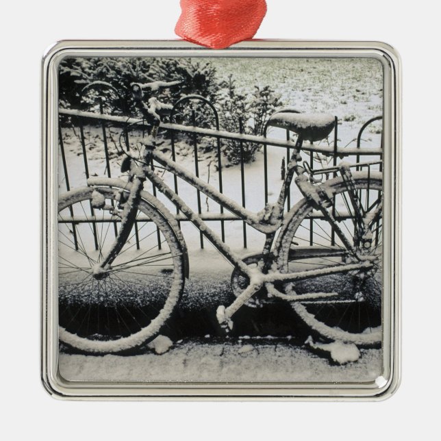 Europe, The Netherlands, Amsterdam. A Metal Ornament (Front)