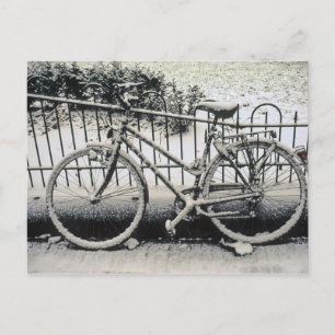 Europe, The Netherlands, Amsterdam. A Postcard