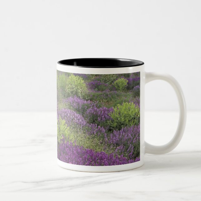 Europe, Turkey, Cappadocia. Rural landscape 3 Two-Tone Coffee Mug (Right)