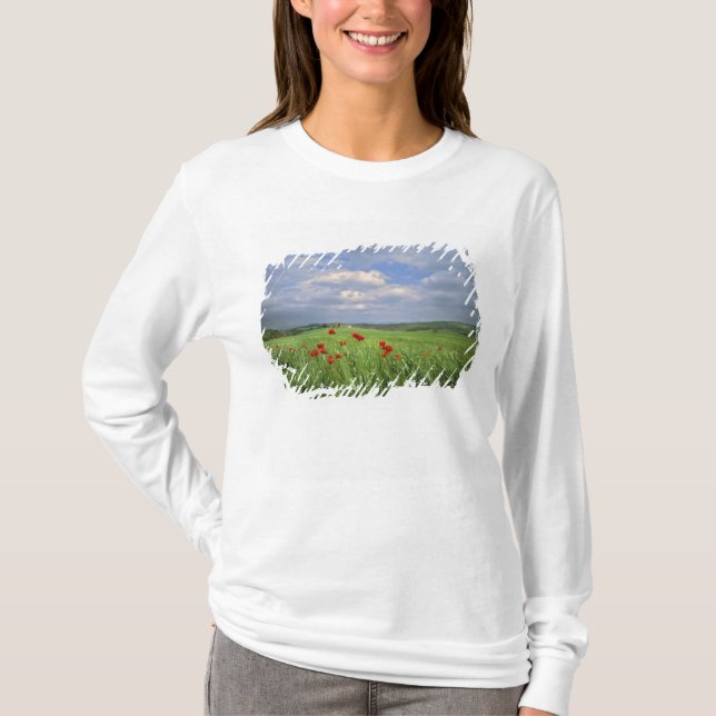 Europe, Tuscany, Poggiolo. Red poppies sway T-Shirt (Front)