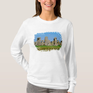 Europe, United Kingdom, England, Wiltshire, T-Shirt