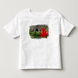 Europe, Wales, Cardiff. Cardiff Castle. Welsh Toddler T-shirt