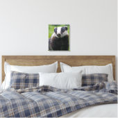 European Badger Wrapped Canvas Print (Insitu(Bedroom))