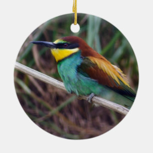 European Bee-eater Ceramic Ornament