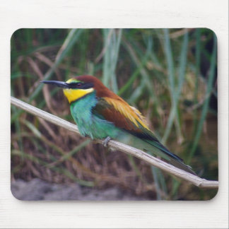 European Bee-eater Mouse Pad