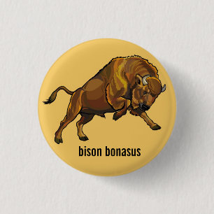 european bison pinback button