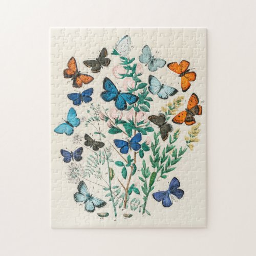 European Butterflies  Moths  Jigsaw Puzzle