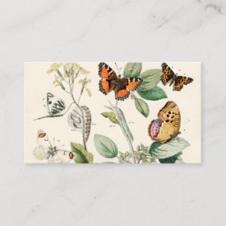 European Butterflies Moths William Forsell Kirby Business Card