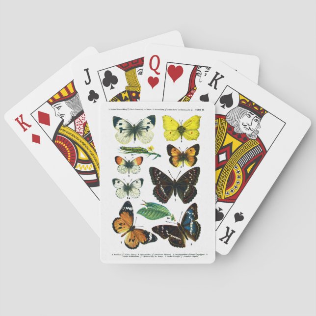 European Butterflies Plate II Poker Cards (Back)