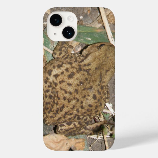 European Common Toad Case-Mate iPhone Case (Back)