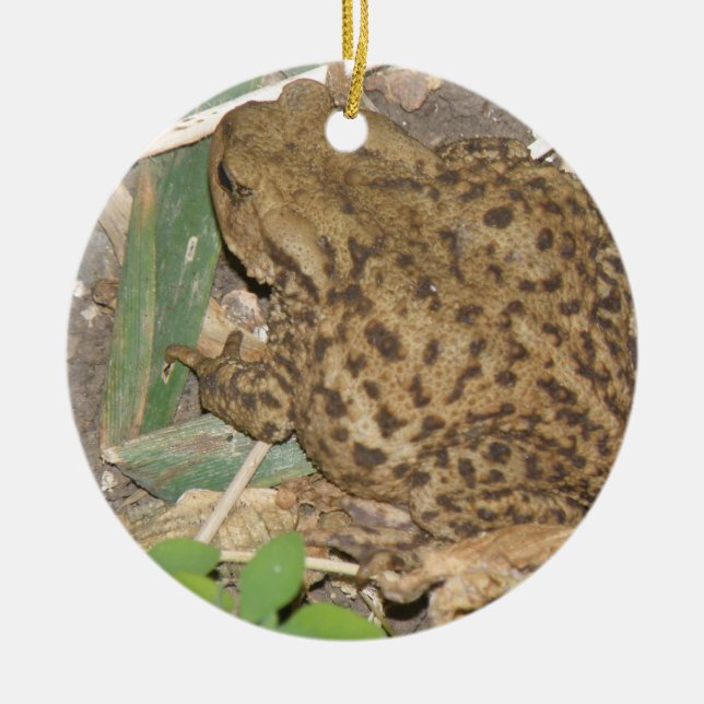 European Common Toad Custom Birthday Ceramic Ornament (Front)
