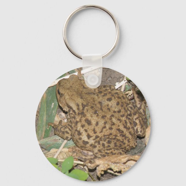 European Common Toad Keychain (Front)