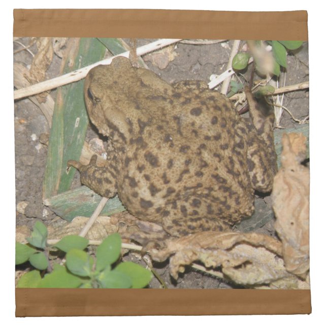 European Common Toad Napkin (Front)
