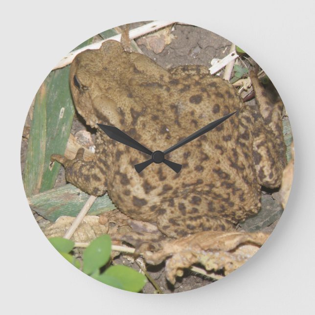 European Common Toad Wall Clock (Front)