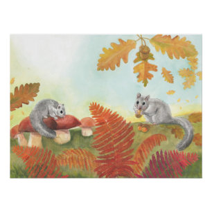 European Fat Dormouse (Glis glis) in Nature Poster