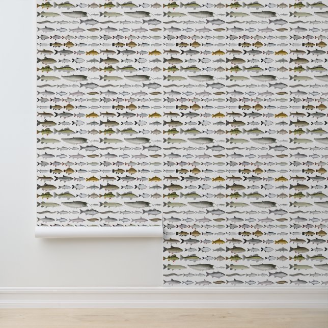 European Freshwater Fish Group Wallpaper (Application)