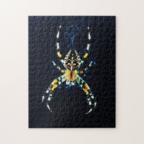 European Garden Spider 11x14 252pc jpcn Jigsaw Puzzle