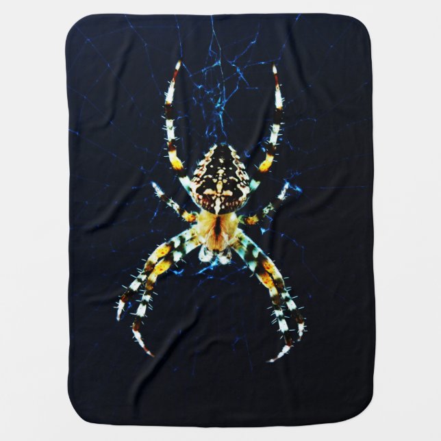 European Garden Spider bba Baby Blanket (Front)