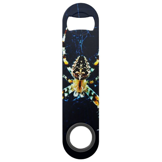 European Garden Spider boa Bar Key (Front)