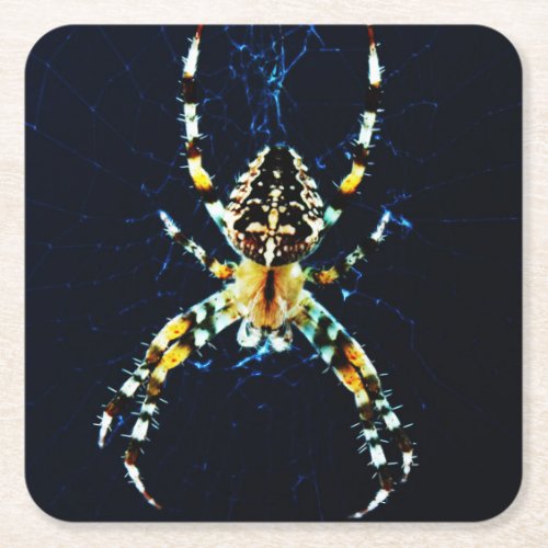 European Garden Spider coastercna Square Paper Coaster