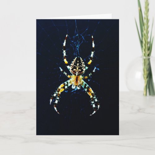 European Garden Spider gccnm Card