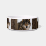 European grey wolf bowl<br><div class="desc">wolf animals animal canis , lupus mammal beast dog , canine wolves wolfs Head , american brown grey wild , snow wildlife  beautiful face,  predator gray beast mammals , nature angry cold arctic , dangerous wolf animals animal,  canis lupus mammal beast,  dog canine wolves wolfs</div>